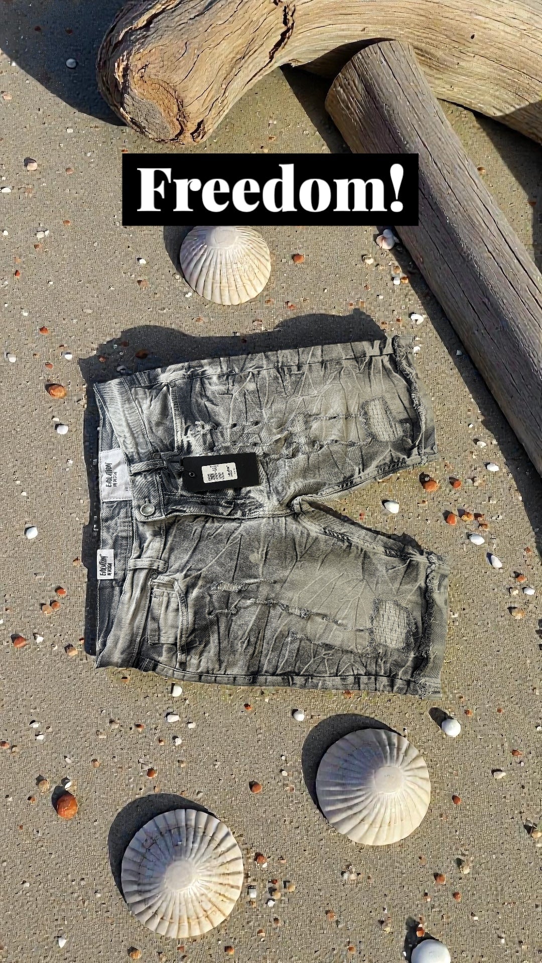 Evolution Jeans Distressed Denim Shorts